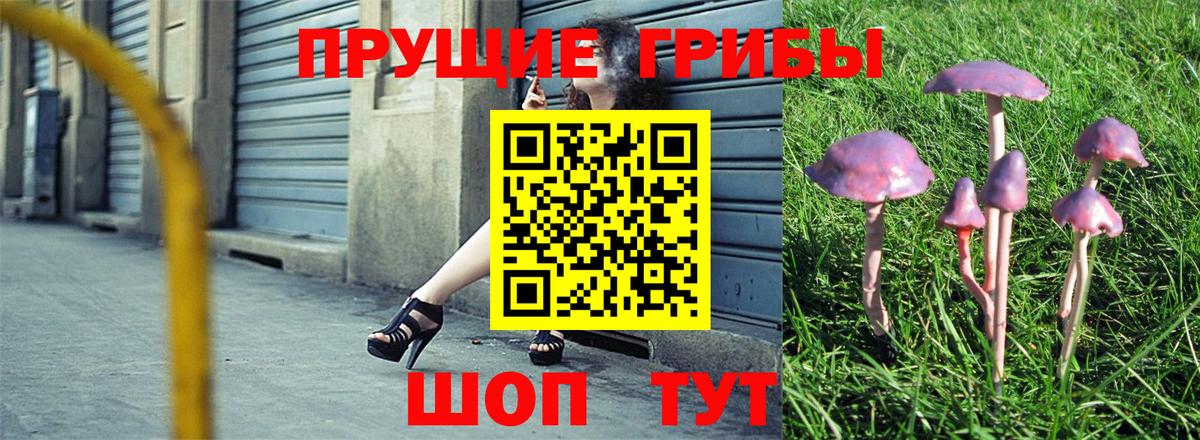 Галлюциногенные грибы прущие грибы  Вход с VPN  Владимир 